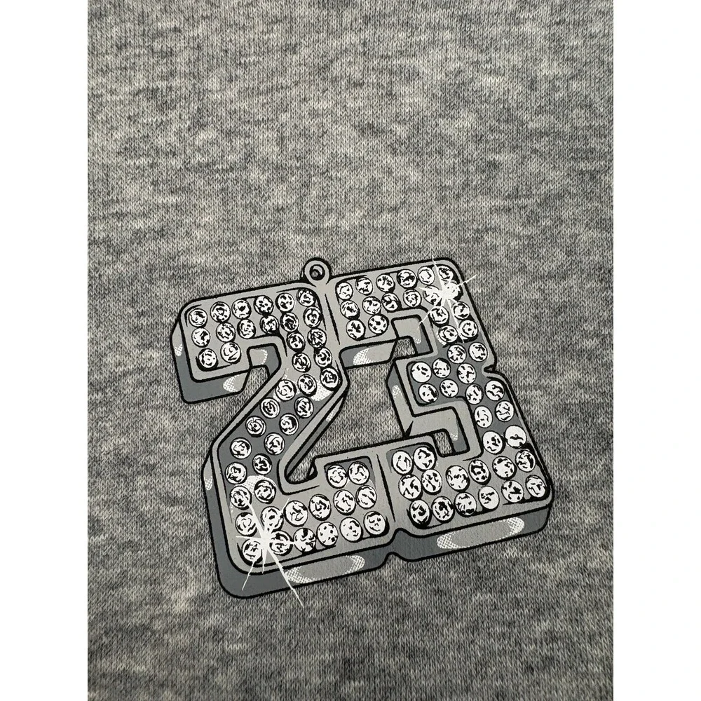 Jordan Mens 23 Diamond Pendant Graphic Hoodie Heather Gray Large WC0063